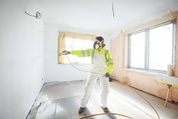 Best Asbestos and Lead Testing During Mold Inspection  in Tempe, AZ