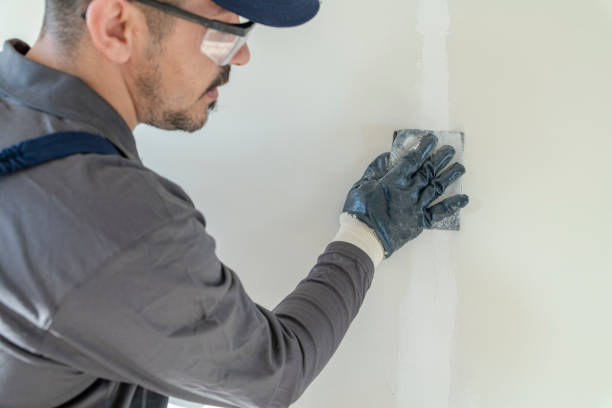 Best HVAC Mold Inspection and Cleaning  in Tempe, AZ
