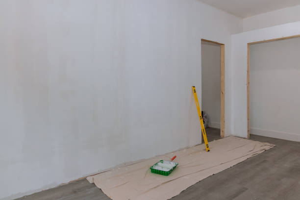 Trusted Tempe, AZ Mold Removal Experts