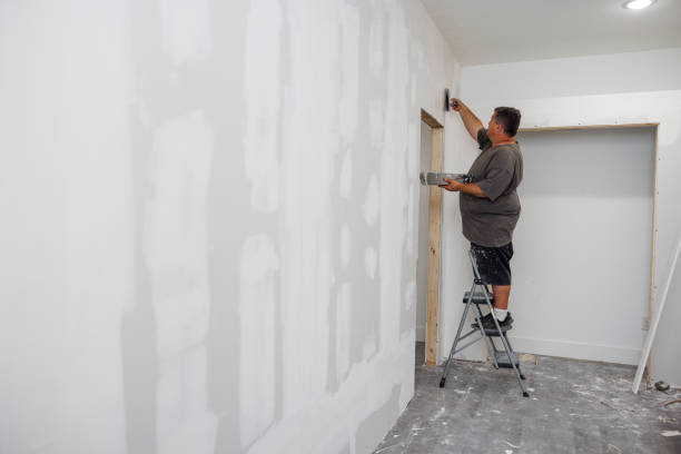 Best Attic Mold Removal  in Tempe, AZ