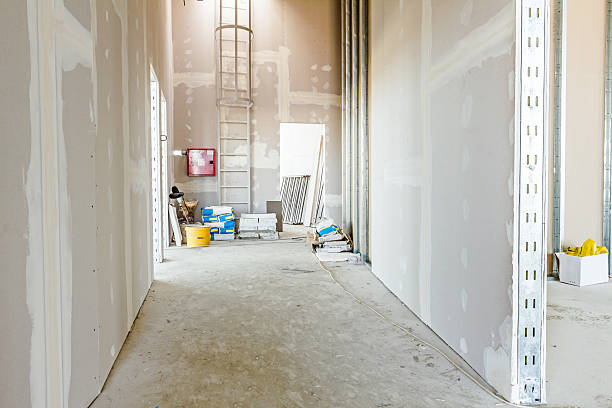 Best Water Damage & Mold Remediation  in Tempe, AZ
